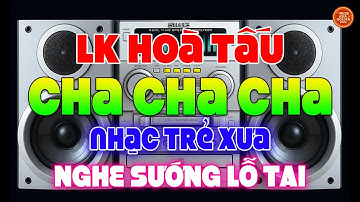LK Nhạc Trẻ Xưa Cha Cha Cha Nghe Sướng Lỗ Tai - Hoà Tấu Cha Cha Cha Không Lời Hải Ngoại 7X 8X 9X