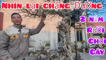 Mới chơi cây có hai năm rưỡi mà đã có nhiều TP xuất sắc cũng như nhiều món đồ đá đồ gốm sứ đẳng cấp