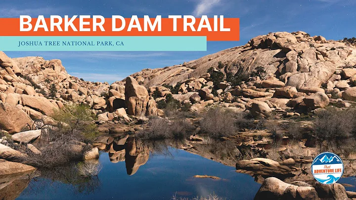 How to Hike Barker Dam Trail in Joshua Tree NP