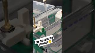 #microbiology #biotechnology #thebiosciencearena #immunology