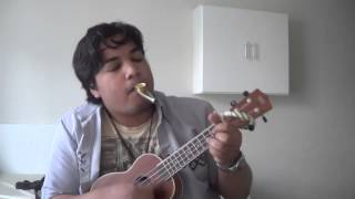 Video thumbnail of "Kazoo & Ukulele De Chocobo"