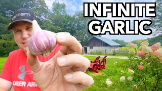 I'm Totally Never Buying Garlic Again