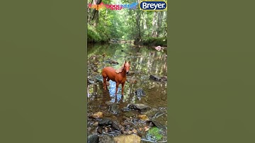 Hiking With My Breyer Horse 🐴 Paddock Pals Hazel | I bought at FiveBelow