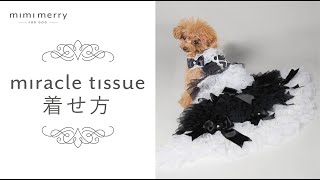 【ドレスデビュー】かわいい犬の服ブランド「mimi merry」（ミミーメリー）ドレスの着せ方