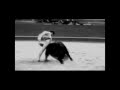 Un Torero Diferente Víctor Barrio 