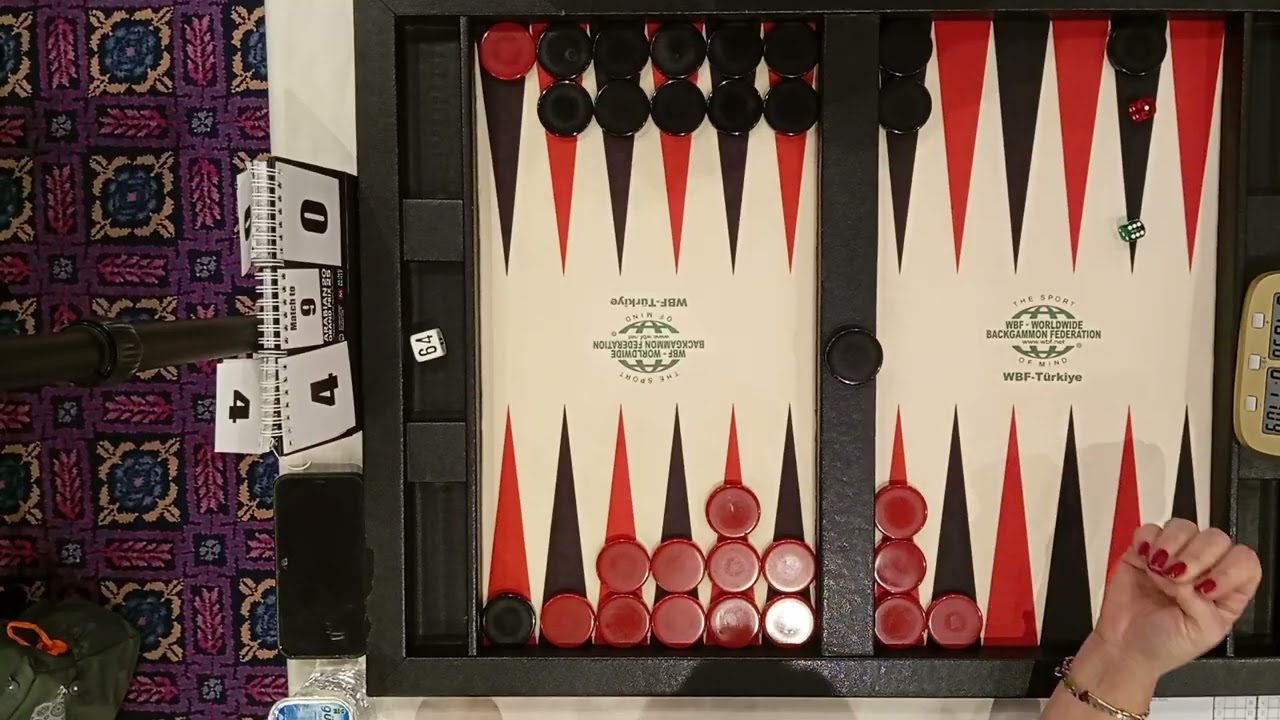 Burak Çulhacı G2 (top/black) - Gözde Diptaş (bottom/red) WBF Kocaeli Open 1st group match