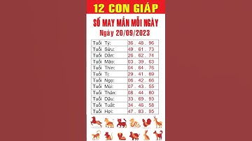 Con số may mắn ngày 20-09-2023 cho 12 con giáp #consomaymanhomnay #tailocmayman #xuhuong