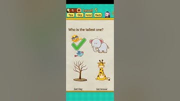 Mr.Brain level 1 2 3 4 5 6 7 8 9 10 walkthrough