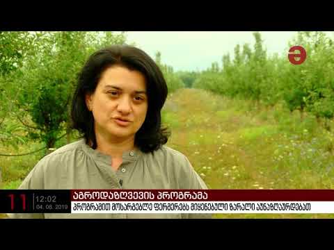 აგროდაზღვევის პროგრამით მოსარგებლე ფერმერებს მიყენებული ზარალი აუნაზღაურდებათ