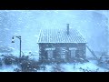Wind Storm Cold. Bone Chilling Winter Wind Storm Cold Weather