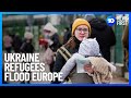 Ukraine Refugees Enter Poland and Romania | 10 News First