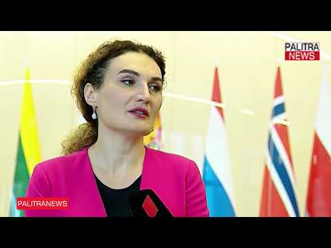 ქეთევან ციხელაშვილი ნატო-საქართველოს კომისიის სხდომაზე სიტყვით გამოვიდა