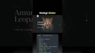 NEW WebGL Slider Effect! 🔥