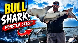 This Bull Shark Was Bigger Than We Expected!