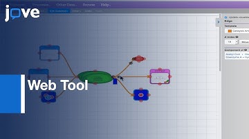 Web Tool: Generating High Quality Machine-Readable Biological Pathways l Protocol Preview
