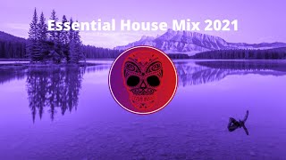 Essential House Mix 2021 || Lane 8,Ben Böhmer, Hot Since 82