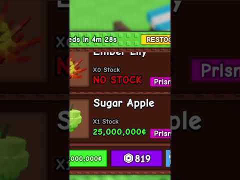 SUGAR APPLE