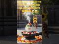 31 अगस्त अष्टमी एक पटाया एक पुष्प पर शहद लगा शिव जी को चढ़ा कर देखिए#Pradeep Mishra#ullulaxmimantra