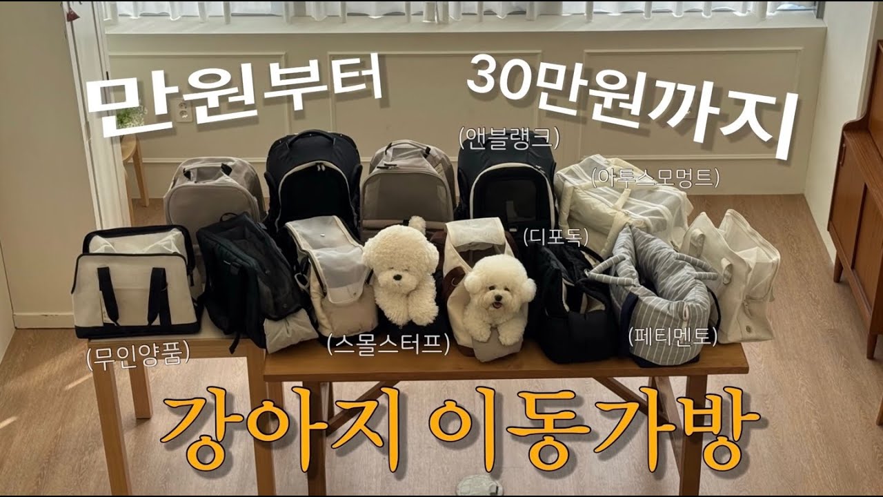 만원부터 30만원까지 강아지 이동가방 리뷰(무인양품, 스몰스터프, 앤블랭크 다 보여드림)