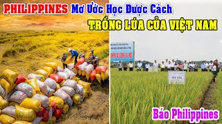 B.Philippines Ao Ước: Đến Khi Nào Mới Học Được Việt Nam Cách Trồng Lúa