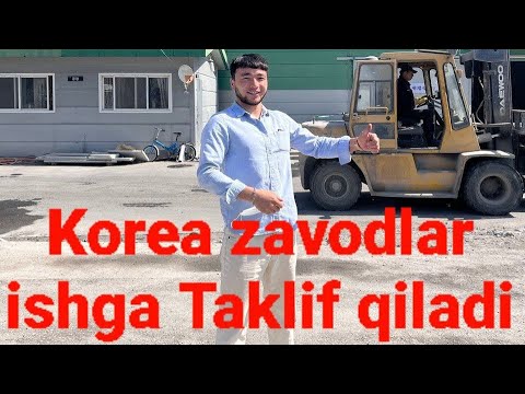 Video: Iplardagi poyga holatidan qanday qochish mumkin?