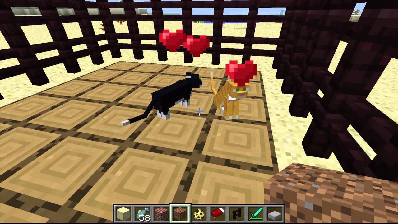 Cosa Mangiano I Pappagalli In Minecraft