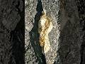Don't throw away strange rocks before watching this!😱💰 #shorts #gold #mining #goldshort