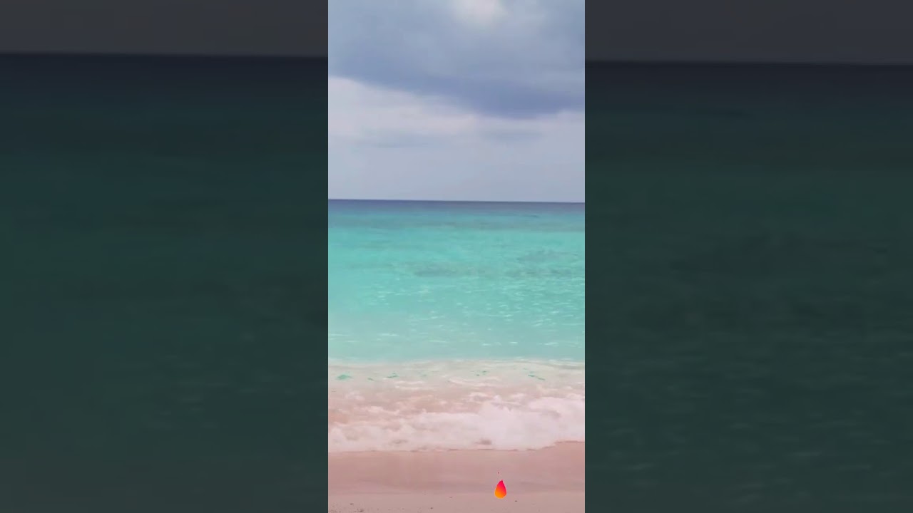 Gigi Hadid on Vigo Video Special Event