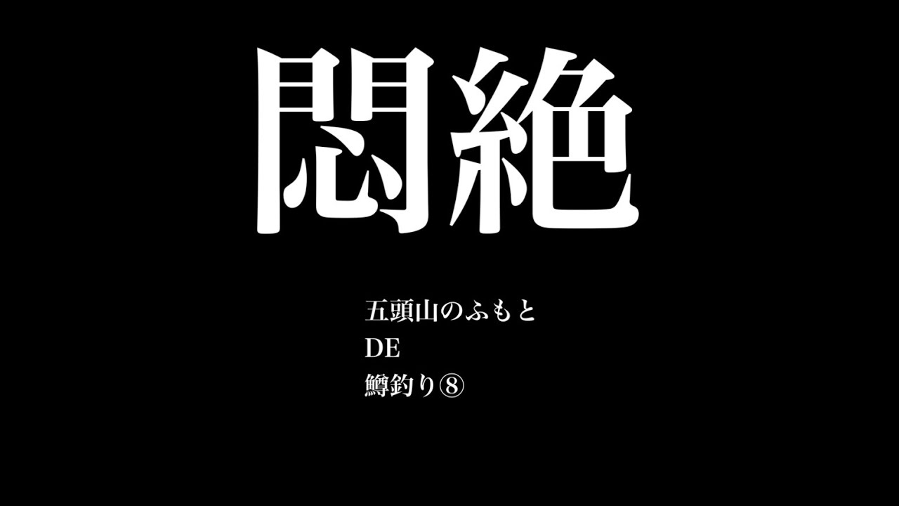 【エリアトラウト】新潟で手軽に大物釣り(後編)＋α in五頭フィッシングパーク