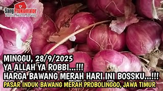 OH MY GOD, ROBBI...!! RED ONION PRICE TODAY, SUNDAY, 28/9/2025 AT THE PROBOLINGGO ONION MARKET