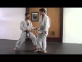 Karate Spinning Rotational Kick 01