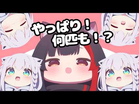 ホロドリ5位入賞で白上ふぶき複数人説を唱えるミオしゃ【ホロライブ切り抜き】