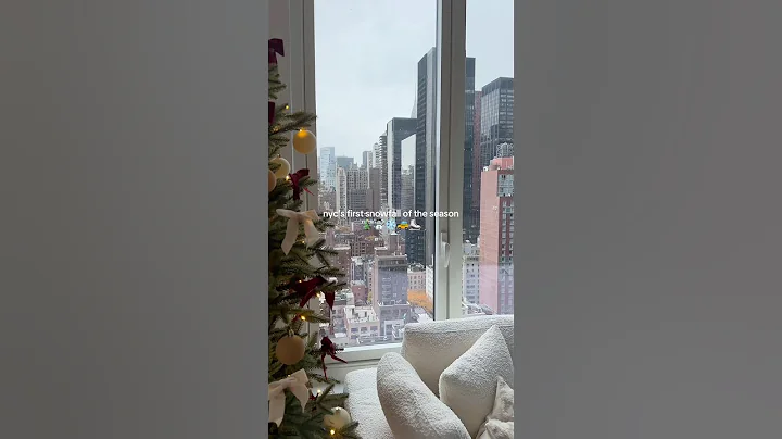 winter is officially here ❄️🚕#nycapartment #nyc #winter #cozy #christmas #snowfall #snowday #snow