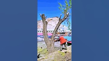Logging process sharing - good tools can improve the efficiency of doing things