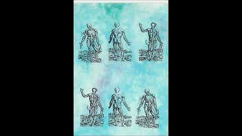 Various - Monochrome Meditator - Cassette (SSSM 1991)