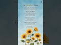 “The Sunflower Theory of Survival" #MentalHealthAwareness #SunflowerTheory #motivation #mindset