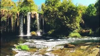 Story wa koes plus - Nusantara - cover T'koes band