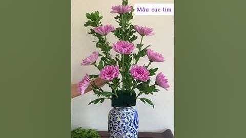 Cách cắm hoa cúc để bàn thờ ngày Tết - Miu hanmade