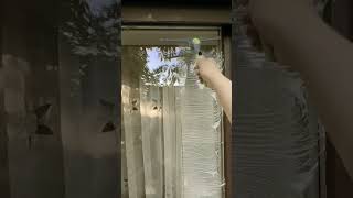 Home window cleaning brush for streak-free glass ✨🪟