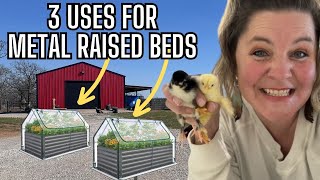 My Alternative Ways To Use Metal Raised Garden Beds | Bucket Gardening | Chick Brooder?