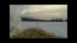 2013 Skidoo Summit SP 146