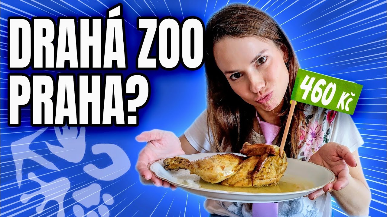 ZOO PRAHA a půl kuřete za 460 Kč! Dělají si SRANDU? #praguezoo #jídlo #restaurace