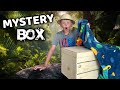 Mystery Box Found!