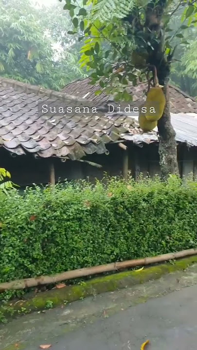 Story Wa Suasana di desa kangen masa 90 an🥺🥺