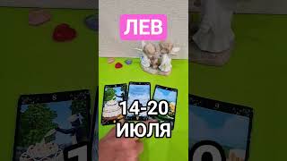 ЛЕВ 💕 #таро #кинезиология #tarot #зенатаро #таролюбовь #онлайнтарогадание #гороскоп #таромастер