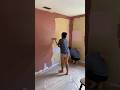 14. Why Skip Primer in Your DIY Paint Job? 🖌️