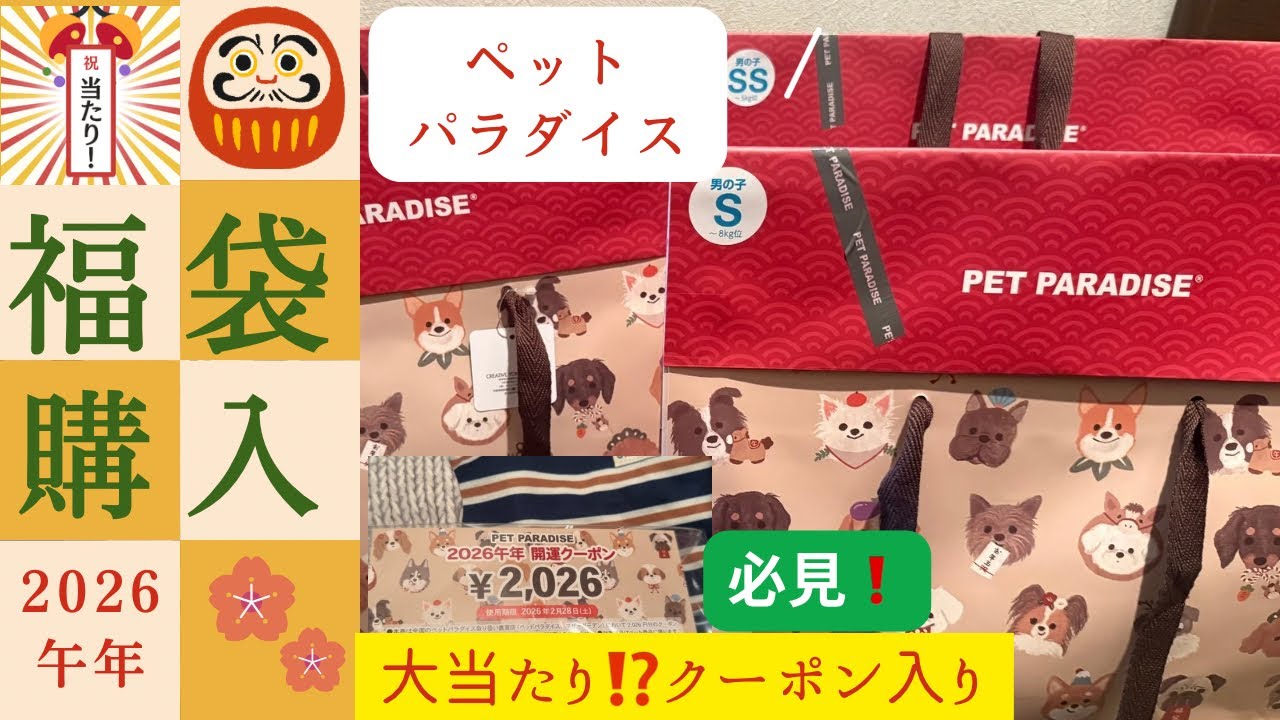 Pet paradise2026年福袋4S 総額20,640円 福袋2026】ペットパラダイス福袋 大当たり⁉️🎯クーポンも入っていまし