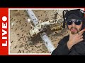 Nourrissage et entretien de mes colonies de fourmis rediff live 02052024