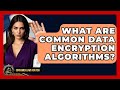 Top Data Encryption Algorithms You Need to Know 🔐