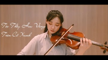 [Ái Minh Violin Cover] Tôi Thấy Hoa Vàng Trên Cỏ Xanh | Độc tấu violin hay nhất